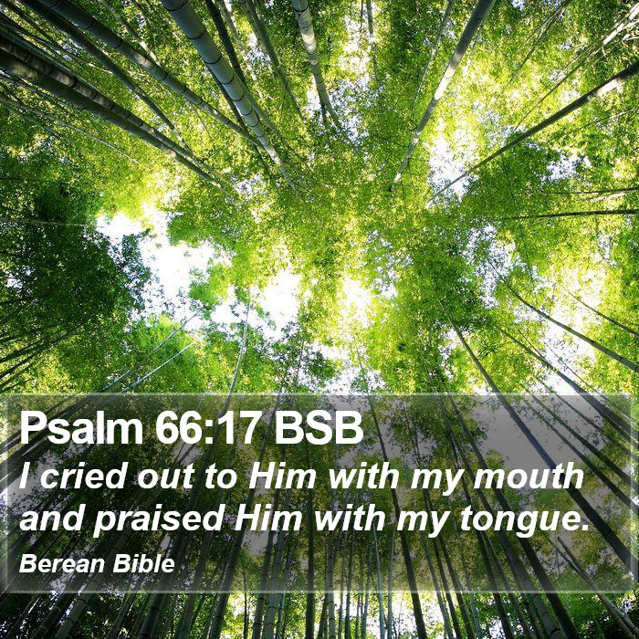 Psalms 66:17 BSB Bible Study