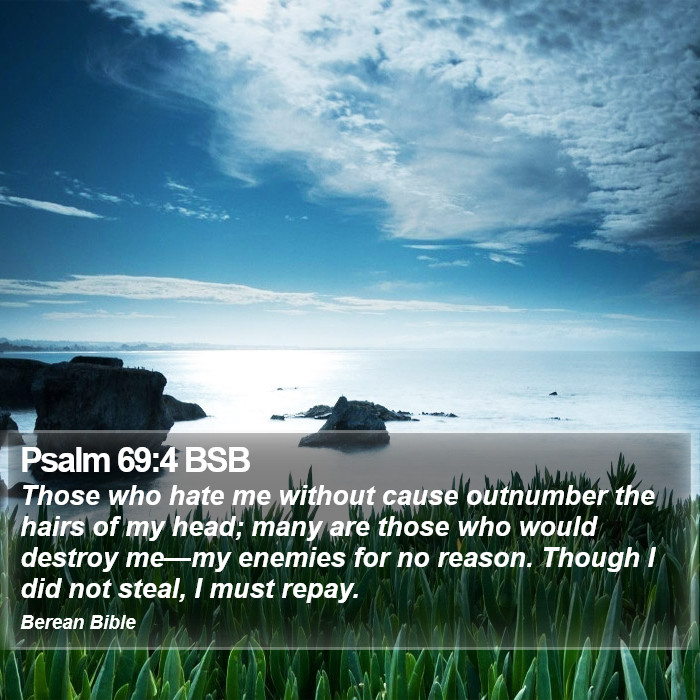 Psalms 69:4 BSB Bible Study