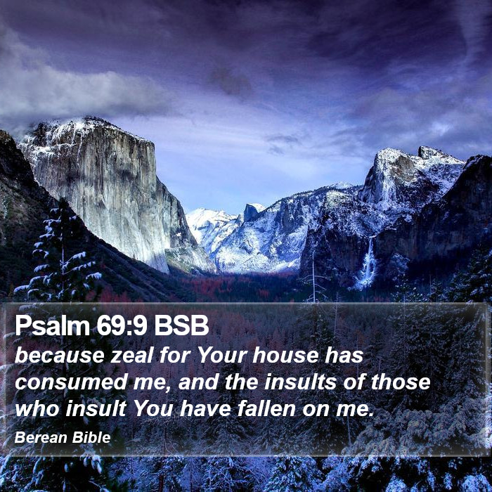 Psalms 69:9 BSB Bible Study