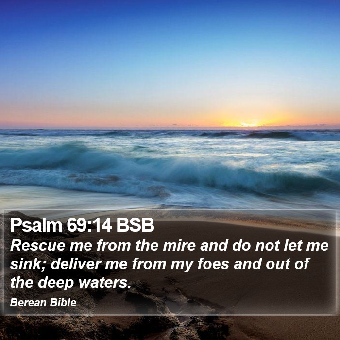 Psalms 69:14 BSB Bible Study