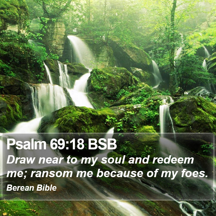 Psalms 69:18 BSB Bible Study