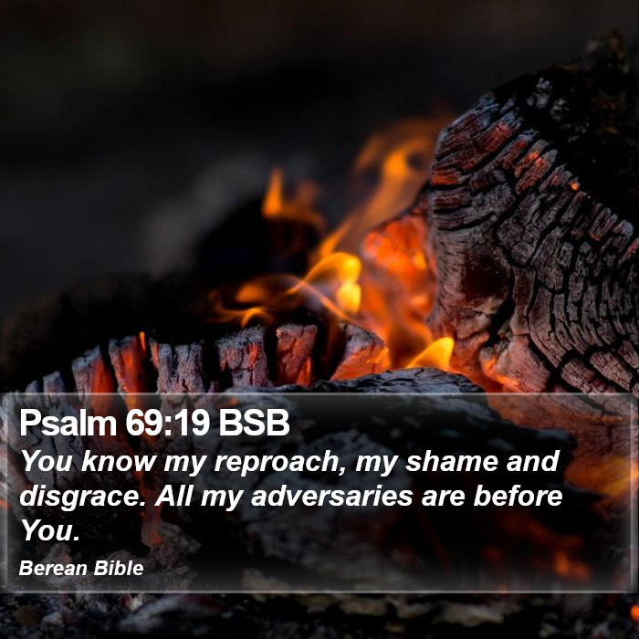 Psalms 69:19 BSB Bible Study