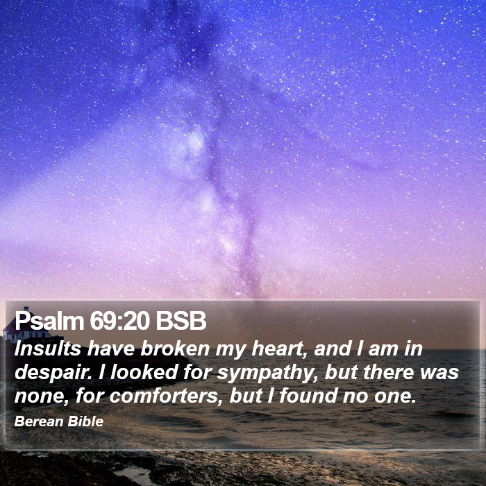 Psalms 69:20 BSB Bible Study