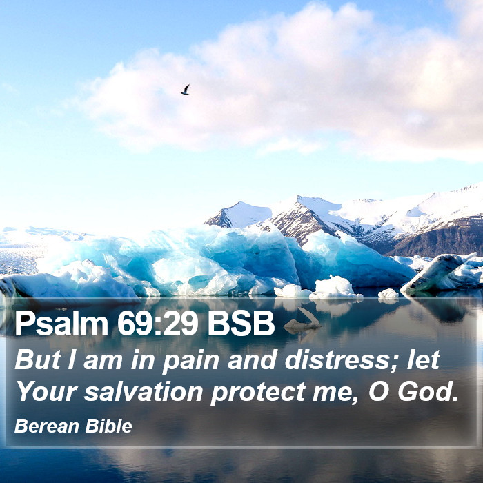 Psalms 69:29 BSB Bible Study