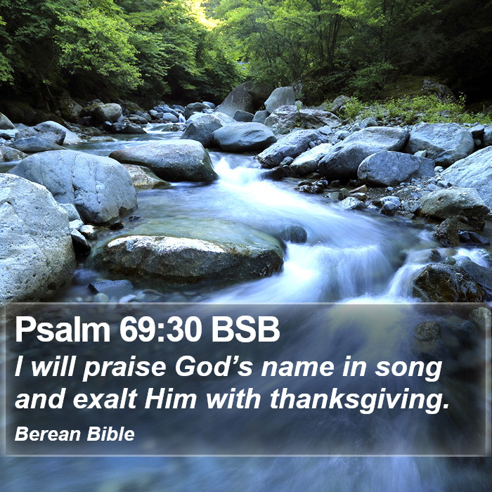 Psalms 69:30 BSB Bible Study