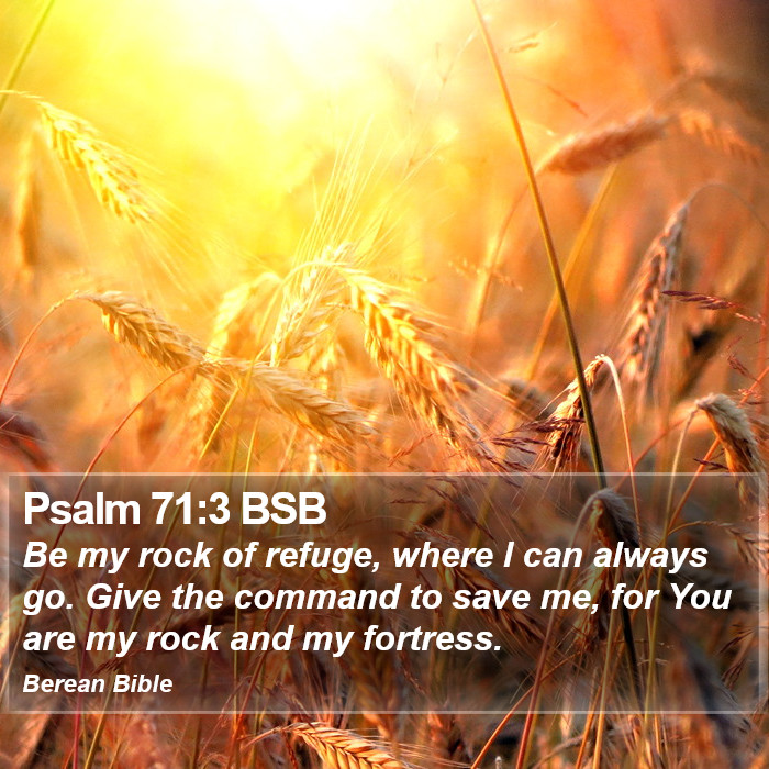 Psalms 71:3 BSB Bible Study