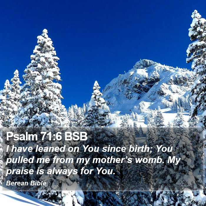 Psalms 71:6 BSB Bible Study