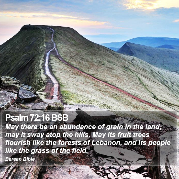 Psalms 72:16 BSB Bible Study