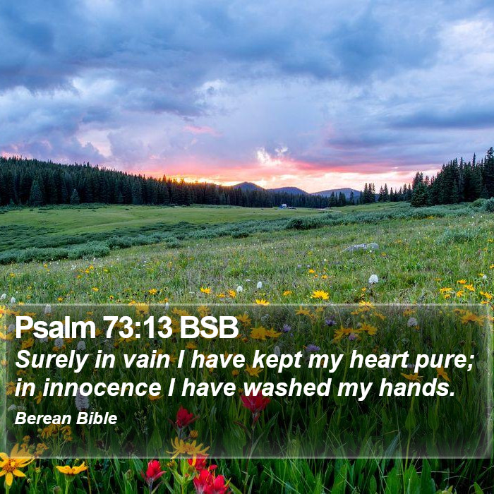 Psalms 73:13 BSB Bible Study