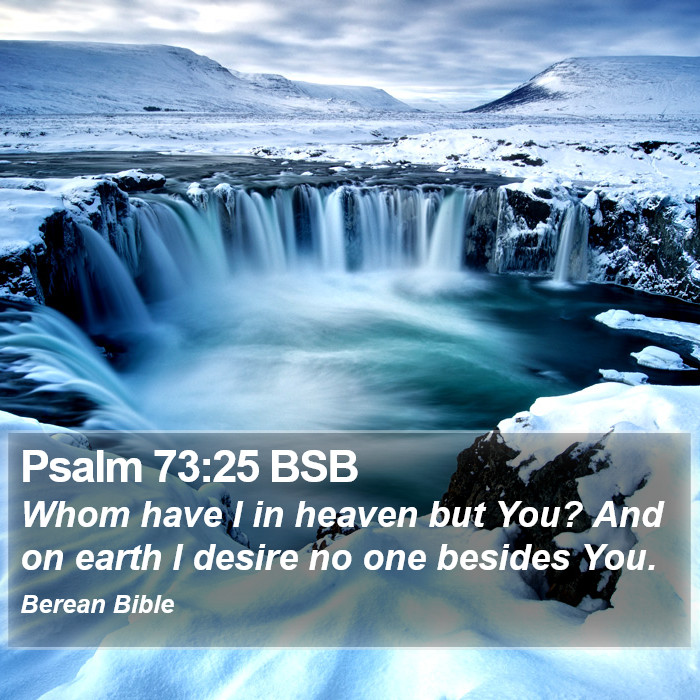 Psalms 73:25 BSB Bible Study