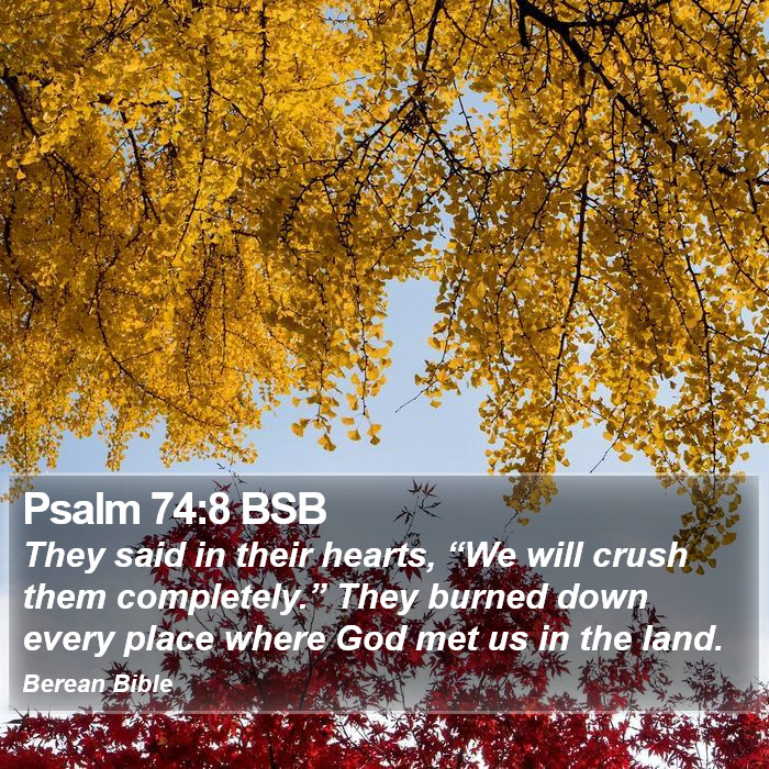 Psalms 74:8 BSB Bible Study