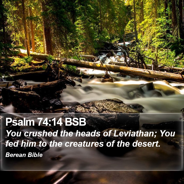 Psalms 74:14 BSB Bible Study