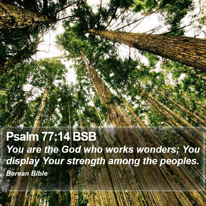 Psalms 77:14 BSB Bible Study