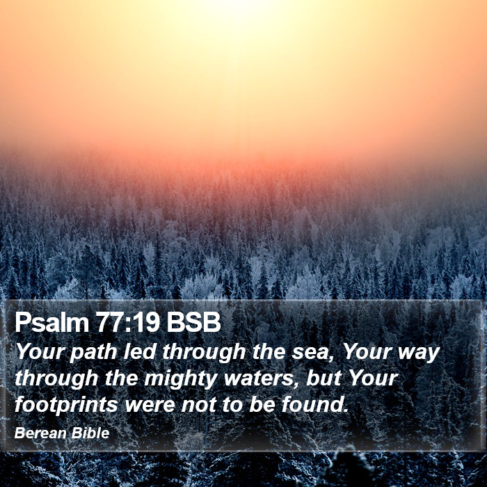 Psalms 77:19 BSB Bible Study