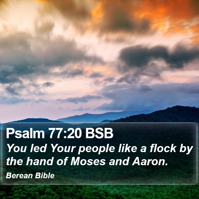 Psalms 77:20 BSB Bible Study