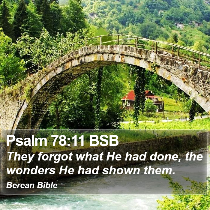 Psalms 78:11 BSB Bible Study