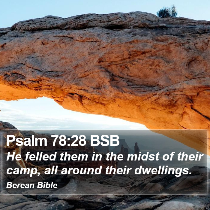 Psalms 78:28 BSB Bible Study