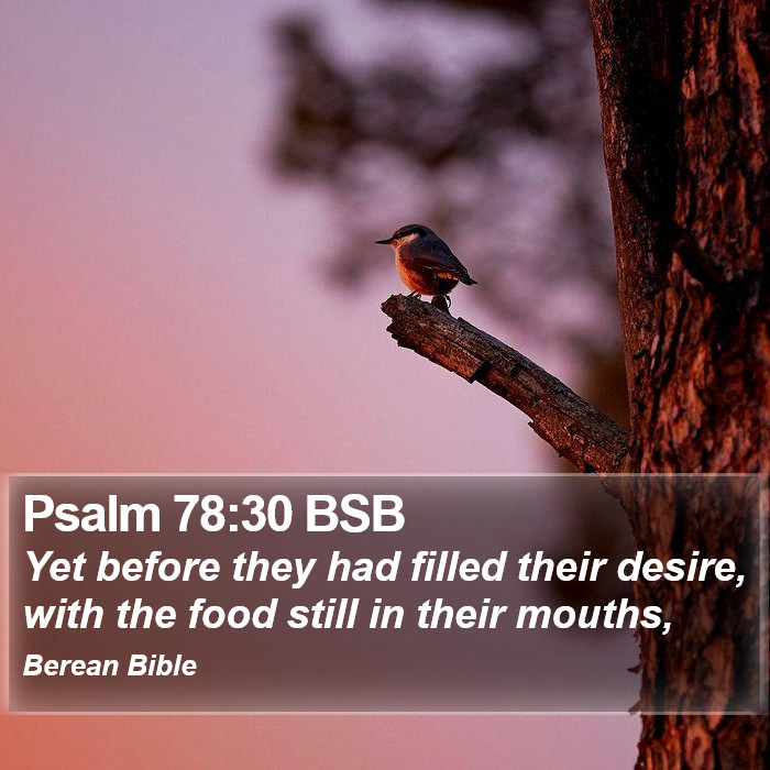 Psalms 78:30 BSB Bible Study