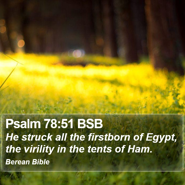 Psalms 78:51 BSB Bible Study