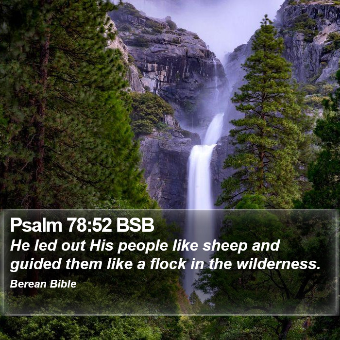 Psalms 78:52 BSB Bible Study