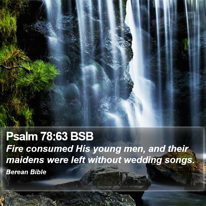 Psalms 78:63 BSB Bible Study