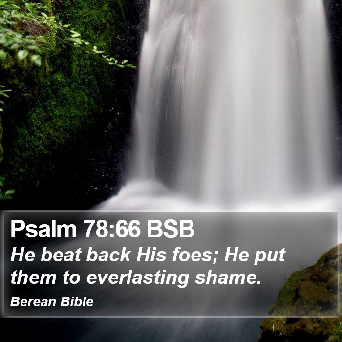 Psalms 78:66 BSB Bible Study