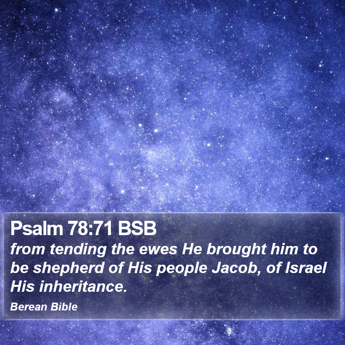 Psalms 78:71 BSB Bible Study