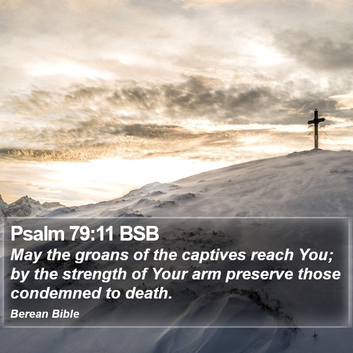 Psalms 79:11 BSB Bible Study