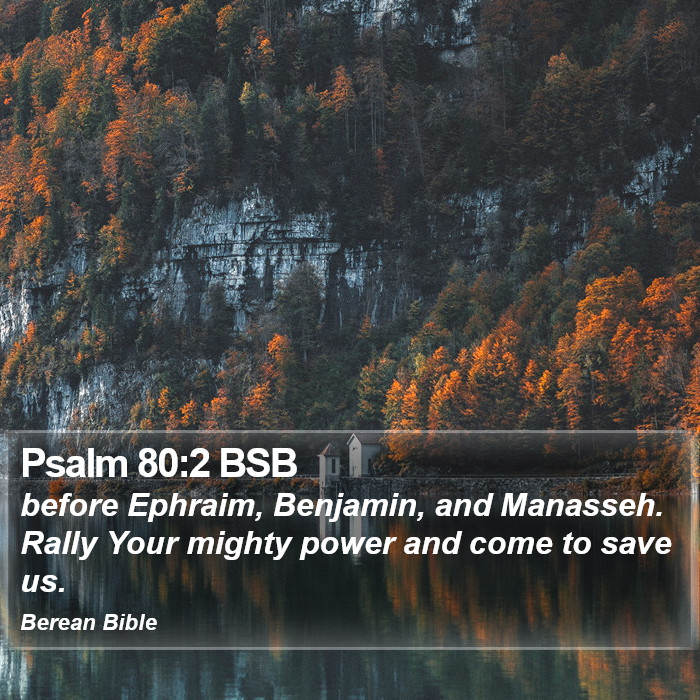 Psalms 80:2 BSB Bible Study