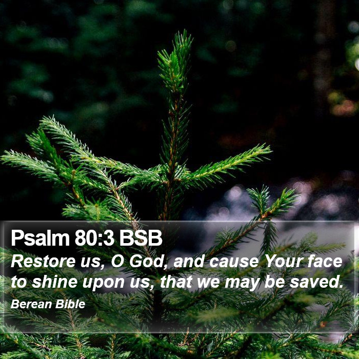 Psalms 80:3 BSB Bible Study