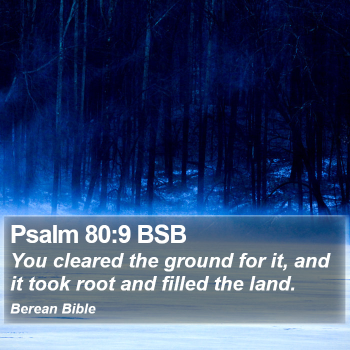 Psalms 80:9 BSB Bible Study