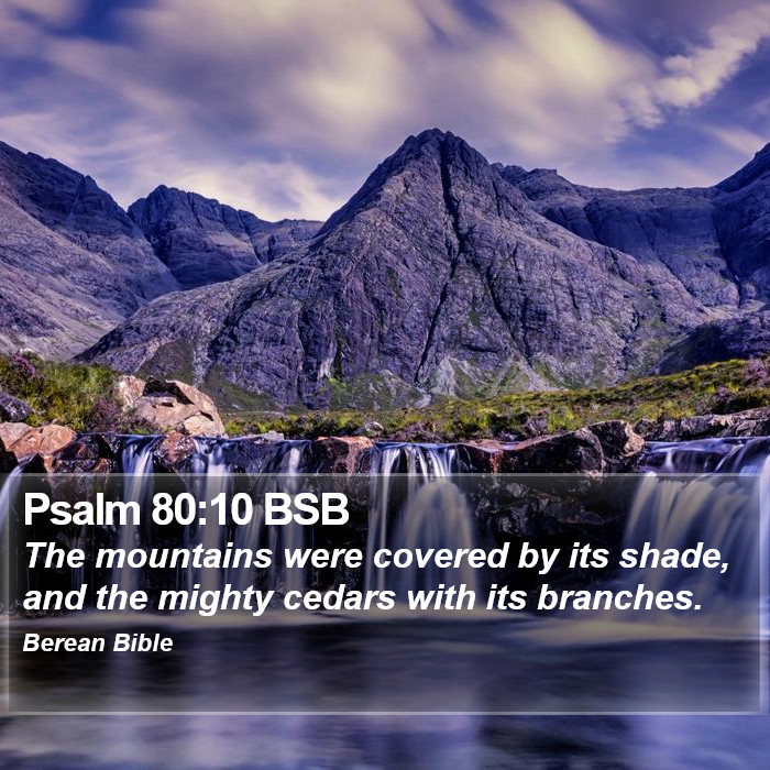 Psalms 80:10 BSB Bible Study