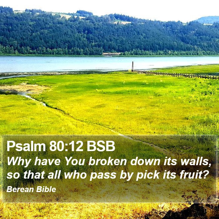 Psalms 80:12 BSB Bible Study