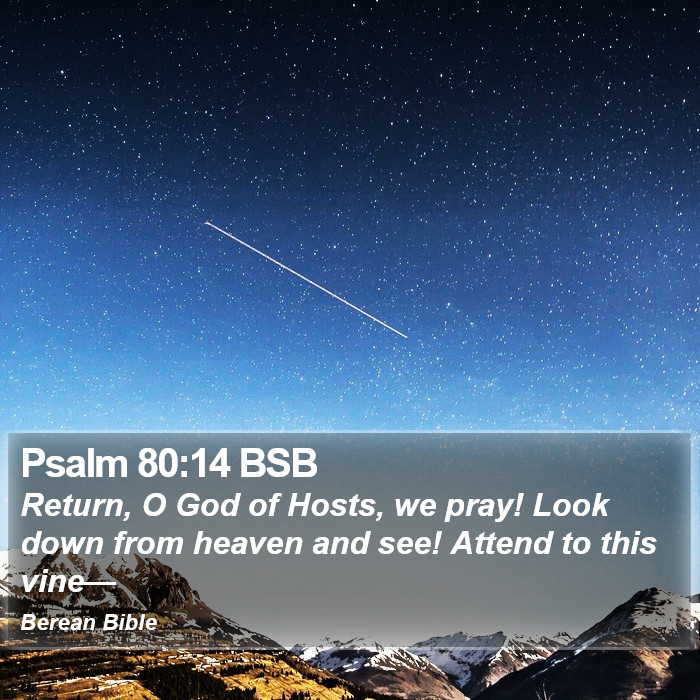 Psalms 80:14 BSB Bible Study