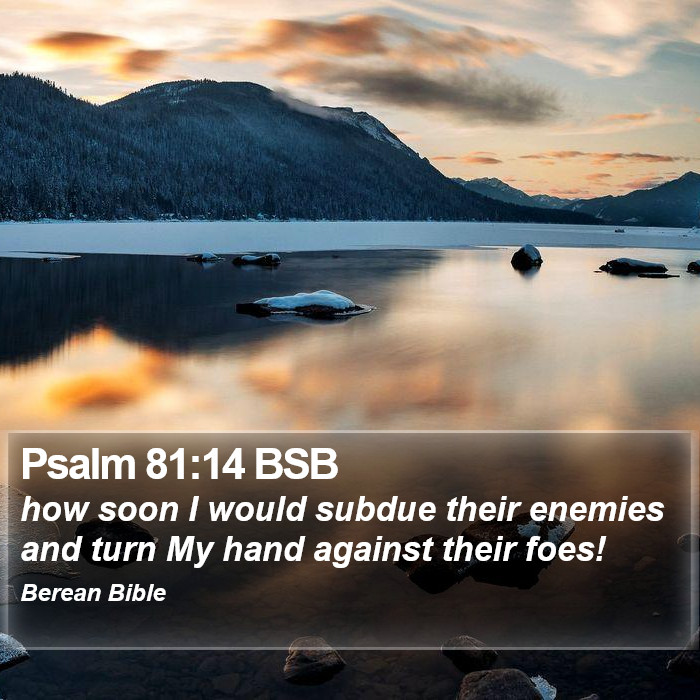 Psalms 81:14 BSB Bible Study