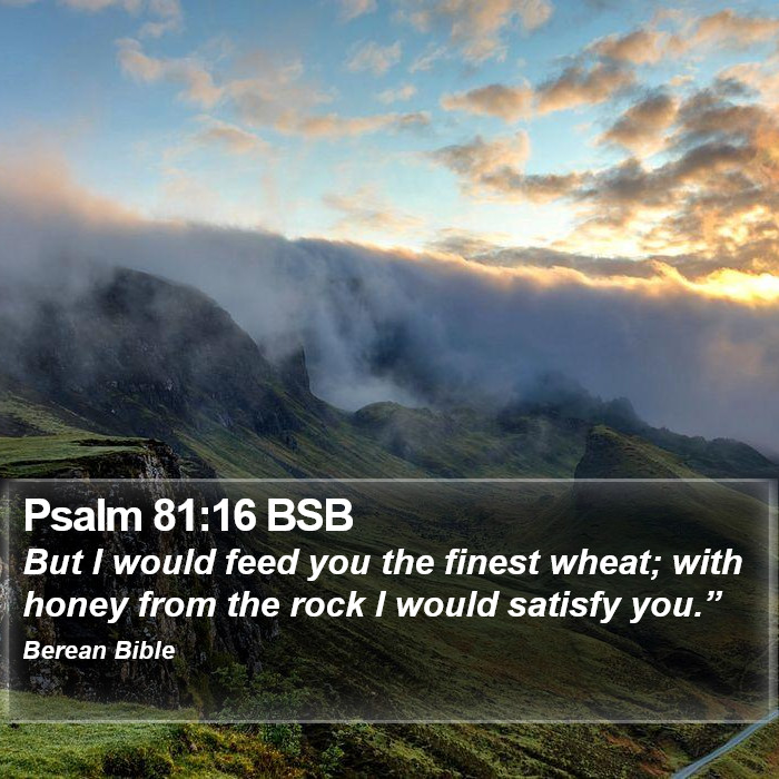 Psalms 81:16 BSB Bible Study