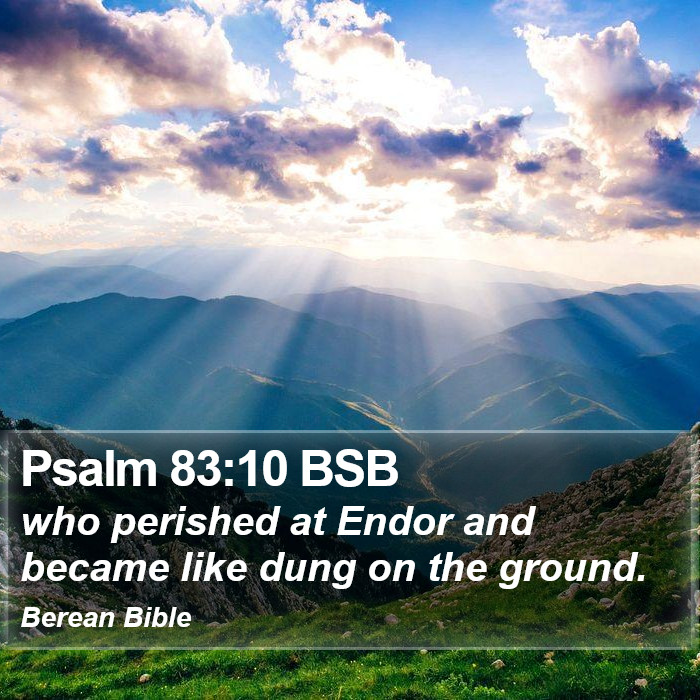 Psalms 83:10 BSB Bible Study