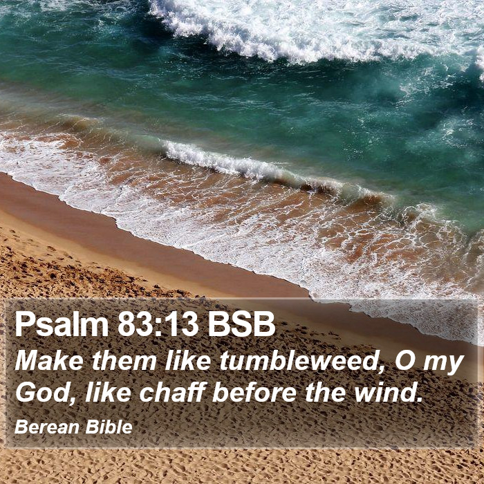 Psalms 83:13 BSB Bible Study