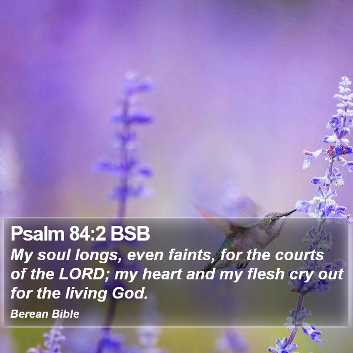 Psalms 84:2 BSB Bible Study