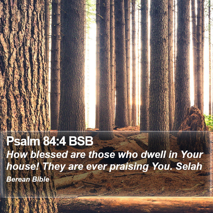 Psalms 84:4 BSB Bible Study