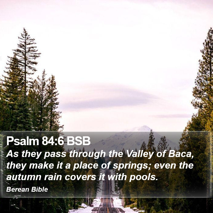 Psalms 84:6 BSB Bible Study