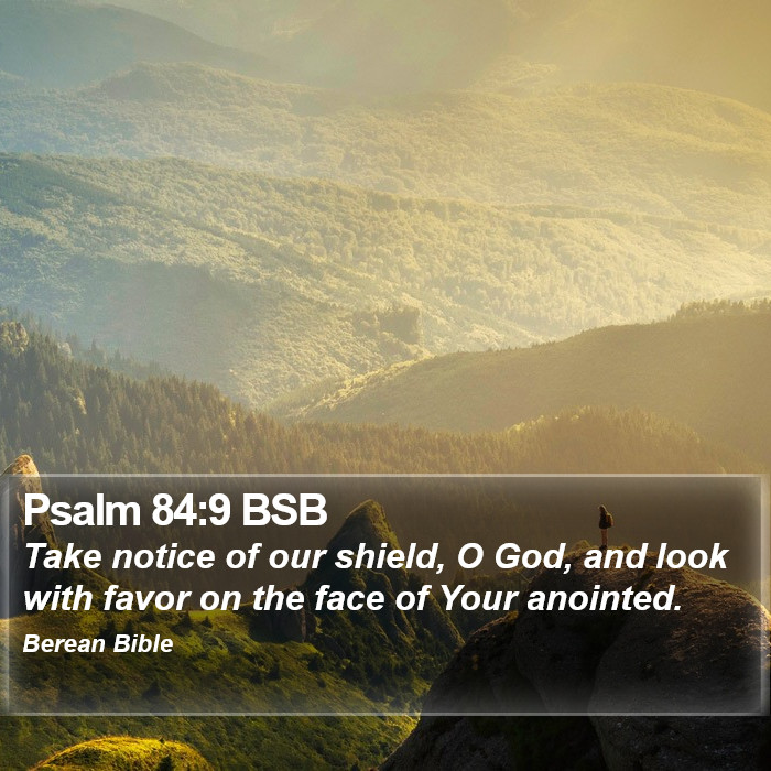 Psalms 84:9 BSB Bible Study