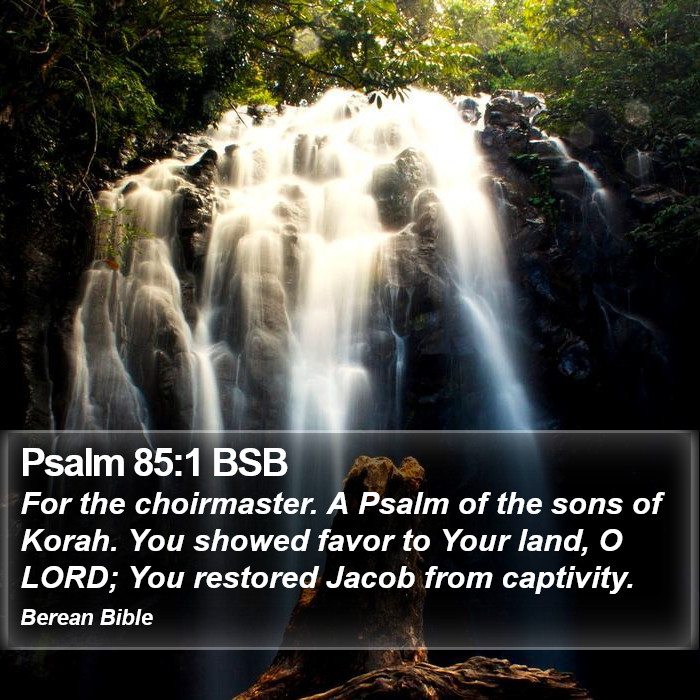 Psalms 85:1 BSB Bible Study