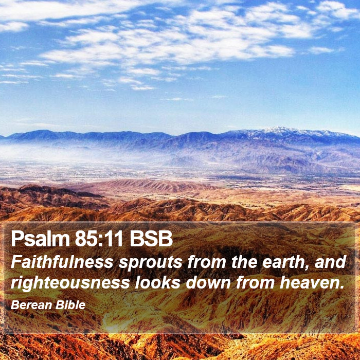 Psalms 85:11 BSB Bible Study