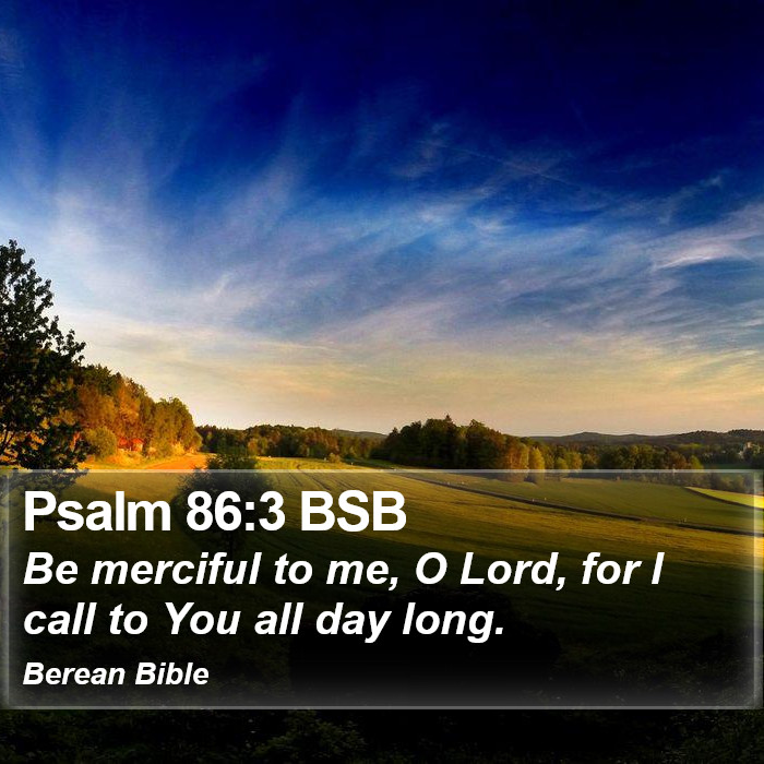 Psalms 86:3 BSB Bible Study