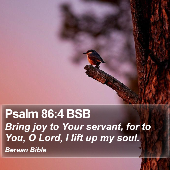 Psalms 86:4 BSB Bible Study