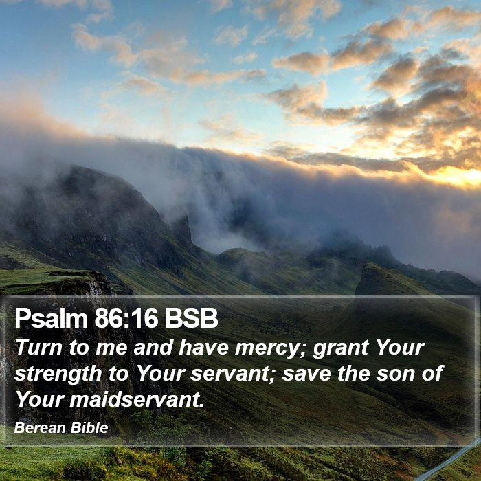 Psalms 86:16 BSB Bible Study