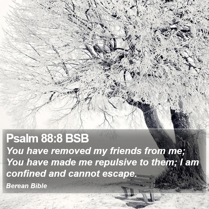 Psalms 88:8 BSB Bible Study