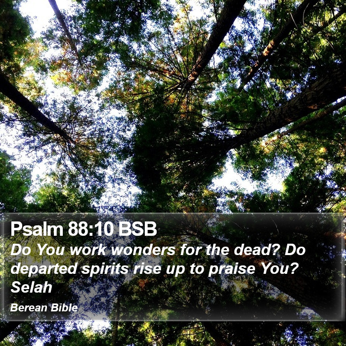 Psalms 88:10 BSB Bible Study