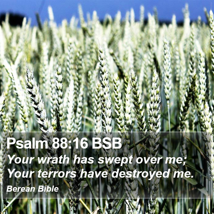 Psalms 88:16 BSB Bible Study